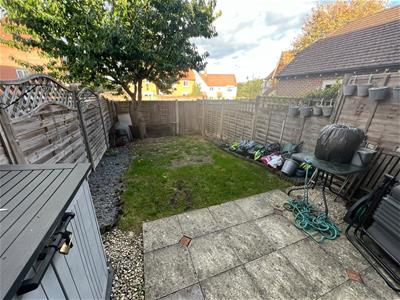 Picture 11